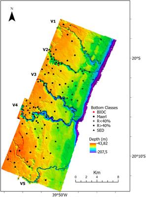 Geomorphological significance of shelf-incised valleys as mesophotic habitats